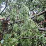 Tornadoes and Summer Storms in Jacksonville FL