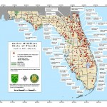 Florida Wildfires 2011